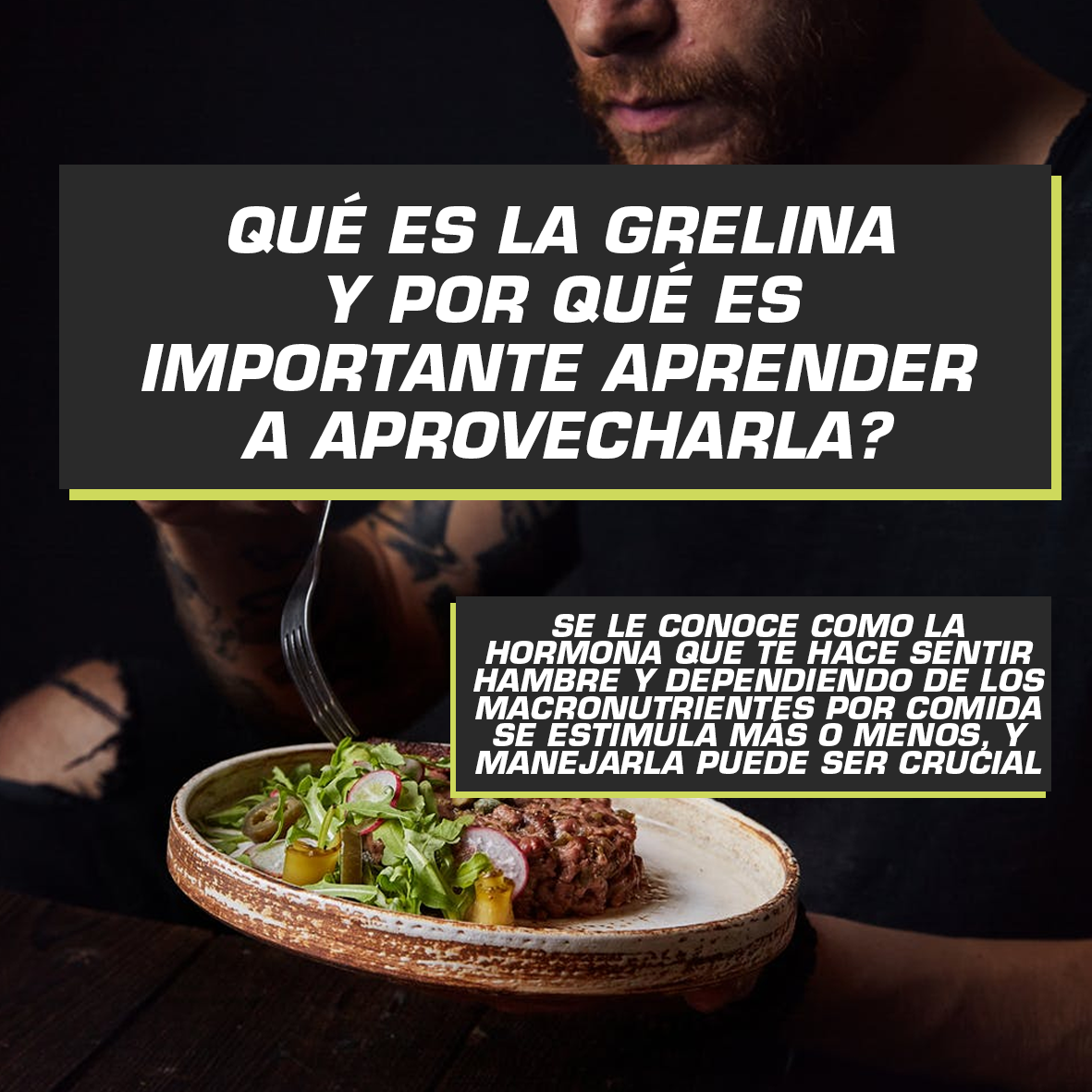 QUÉ ES LA GRELINA Y POR QUÉ ES IMPORTANTE APRENDER A APROVECHARLA ...