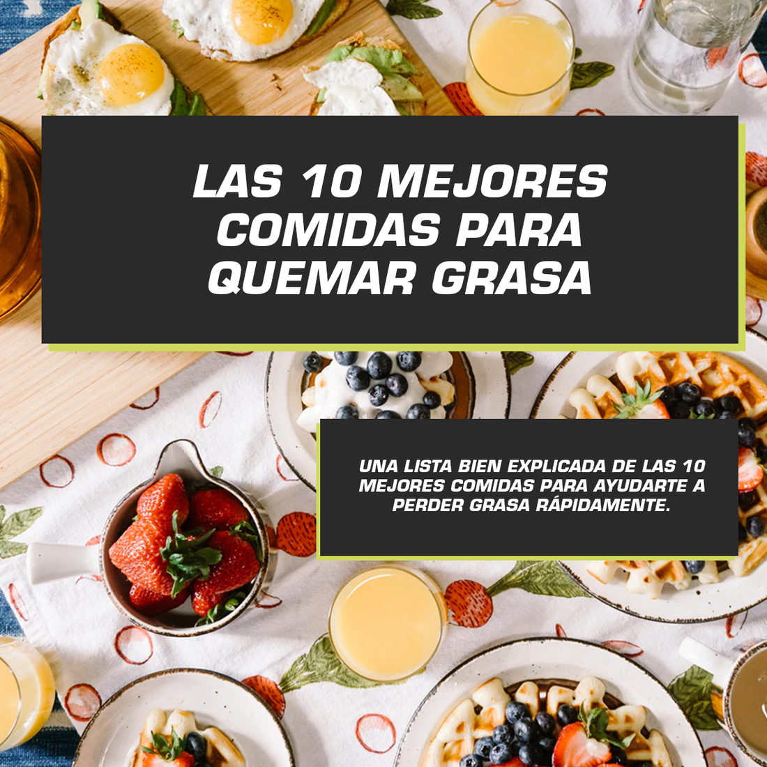 10 COMIDAS PARA QUEMAR GRASA