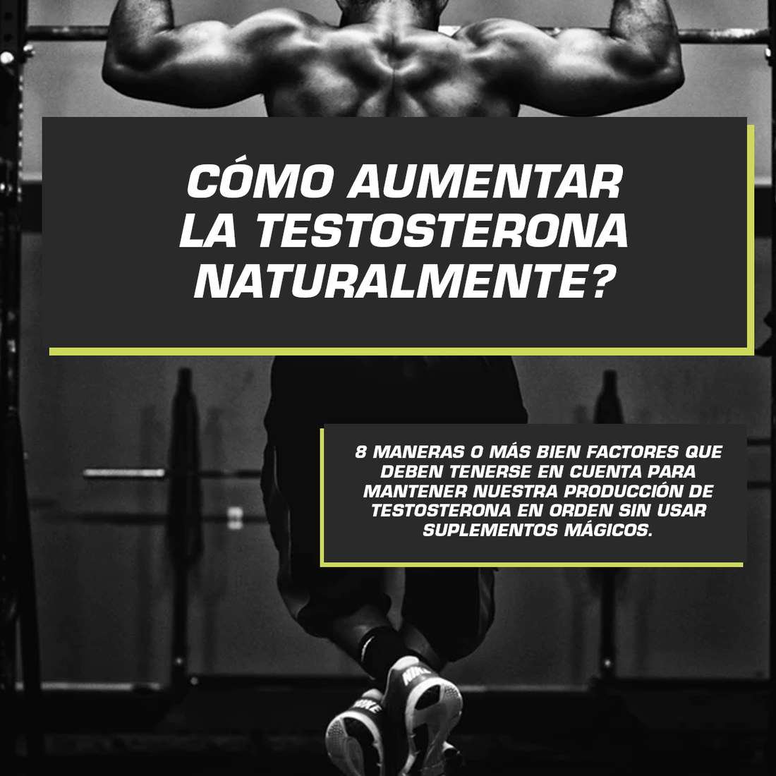 AUMENTAR LA TESTOSTERONA NATURALMENTE?