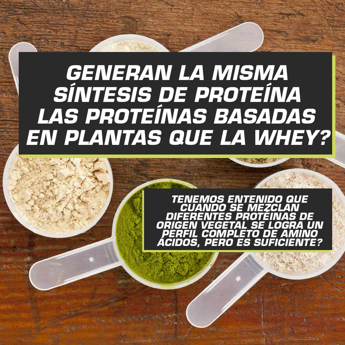 PROTEINA VAGANA VS PROTEINA WHEY