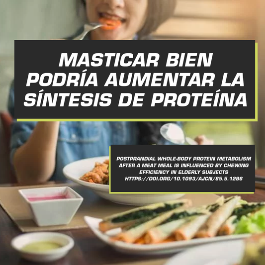 MASTICAR BIEN PODRIA AUMENTAR LA SÍNTESIS DE PROTEÍNA 