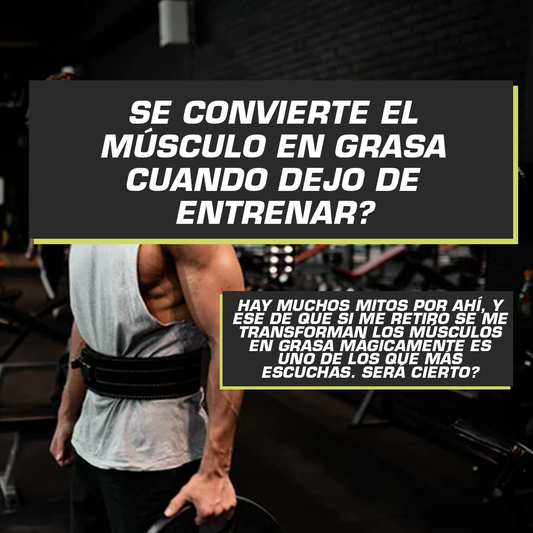 SE CONVIERTE MUSCULO EN GRASA CUANDO SE DEJA DE ENTRENAR