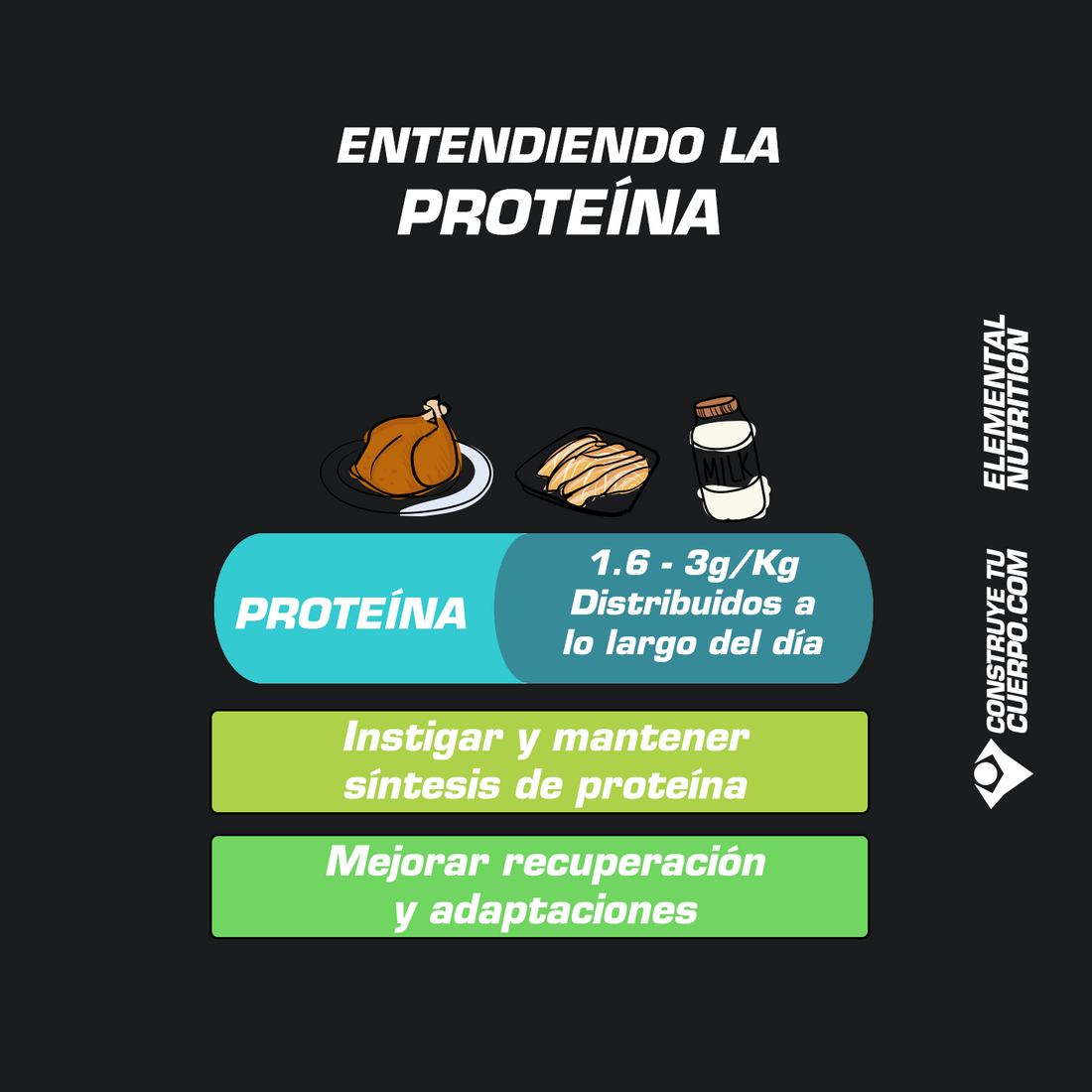 ENTENDIENDO LA PROTEINA