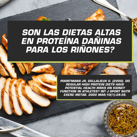 LAS DIETAS ALTAS EN PROTEINAS SON DAÑINAS PARA LOS RIÑONES